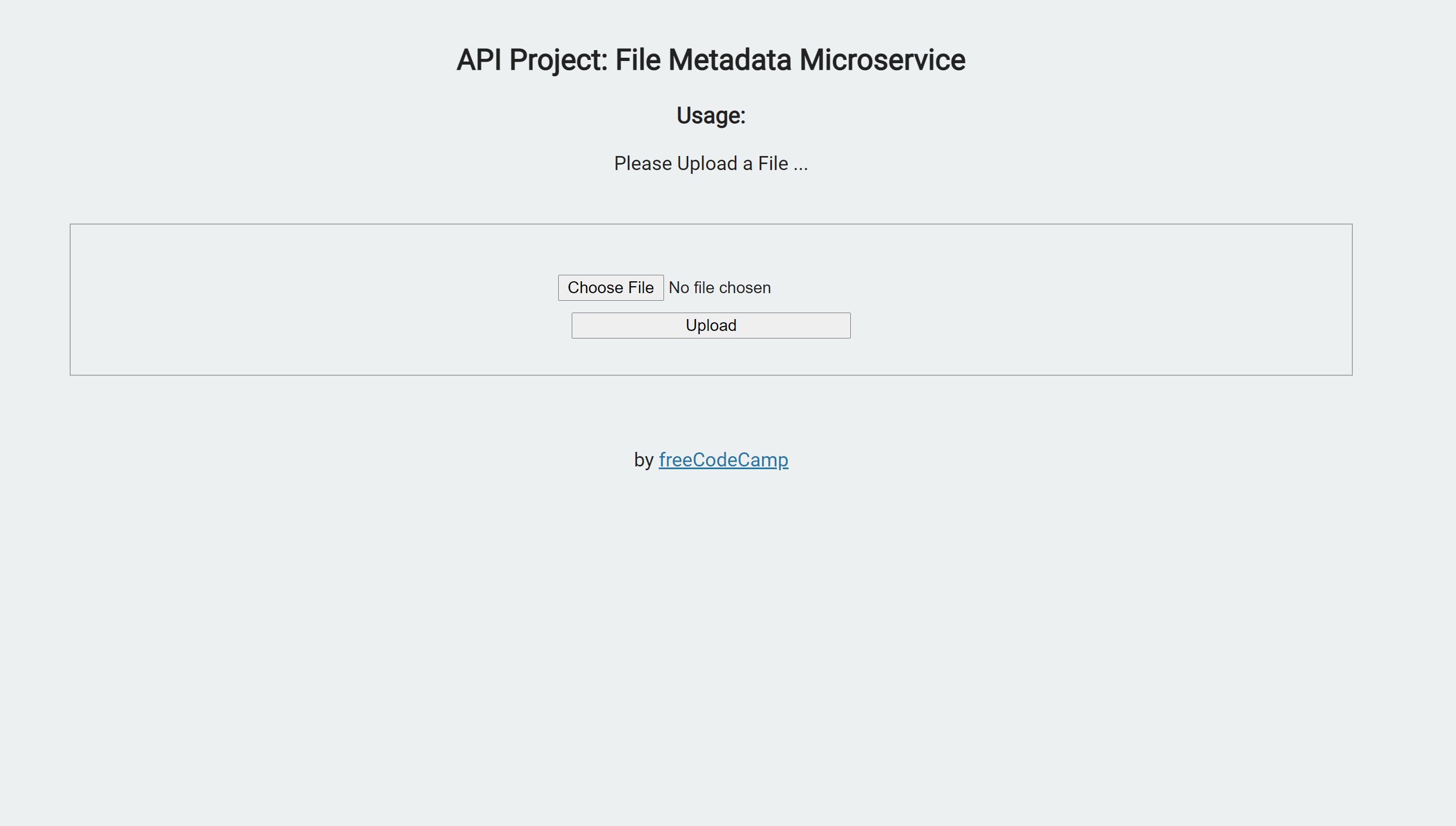 File Metadata Microservice screenshot